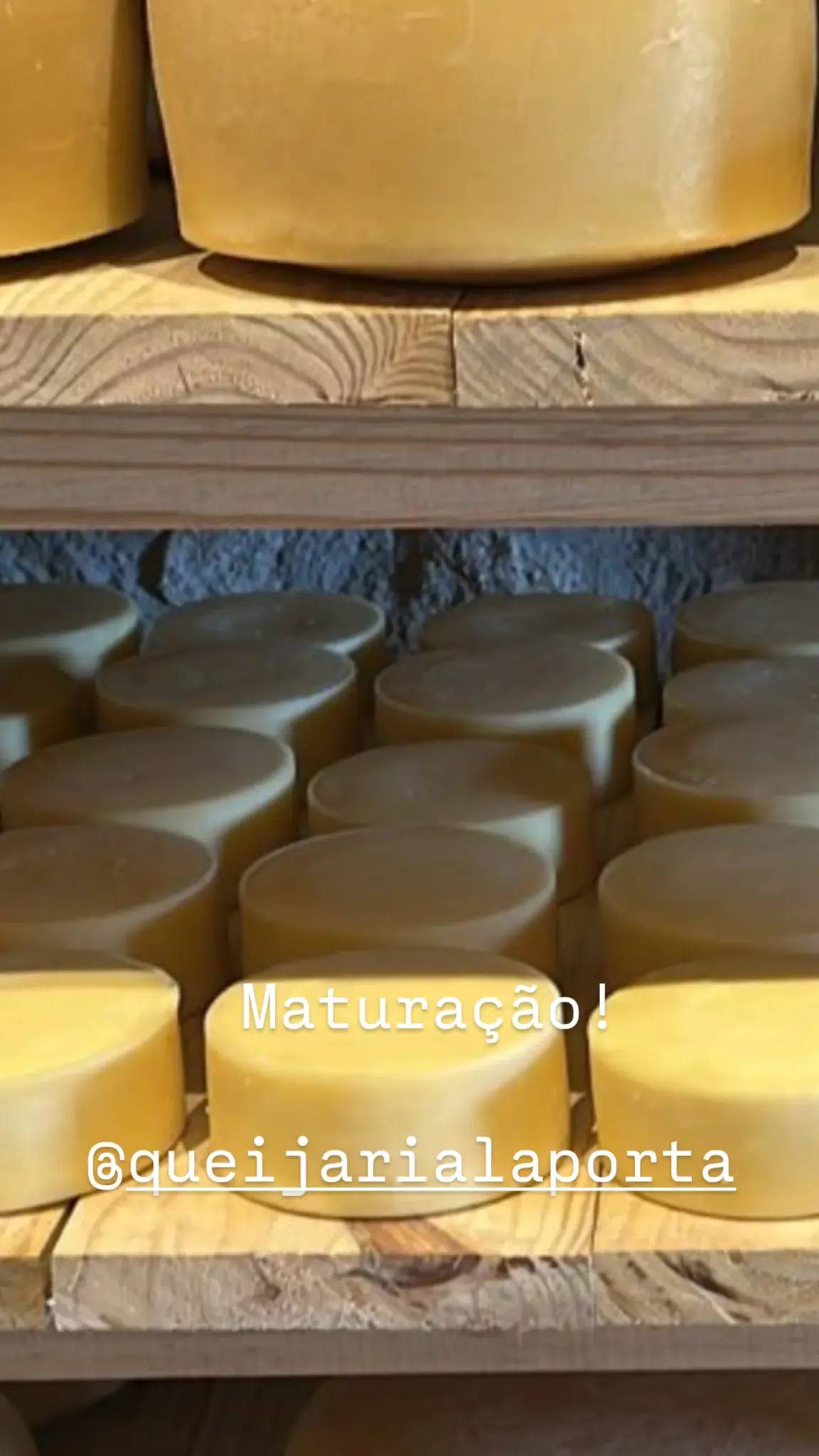Maturação de queijos
